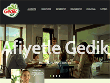 Tablet Screenshot of gedikpilic.com